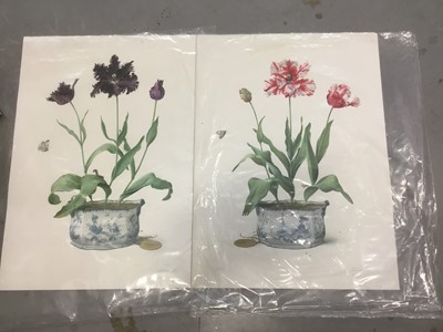 Lot 659 - Victorian botanical watercolour and two Graham Rust limited edition flower prints