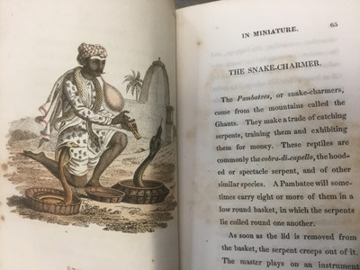 Lot 1728 - Frederic Shobert, The World in Miniature, Hindoostan volumes 5 and 6 (Two volumes bound as one). Around 1820 with colour engravings by R Ackerman