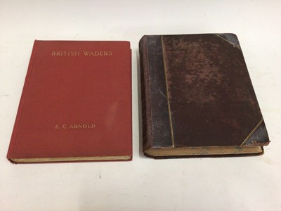 Lot 695 - Two books on natural history: European Butterflies and Moths, Kirby, 1882, and British Waders, Arnold, 1924