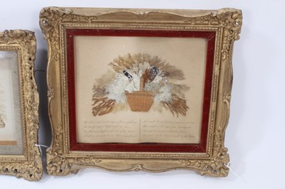 Lot 781 - Two Regency seaweed and shell displays in baskets, one with charming seaweed verse, both mounted in gilt glazed frames, 26 x 33 cm and 29 x 31 cm