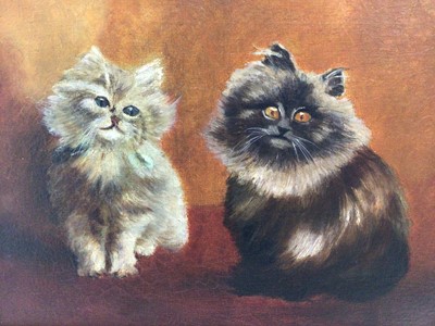 Lot 113 - Early 20th century English School oil on canvas - two cats, in gilt frame