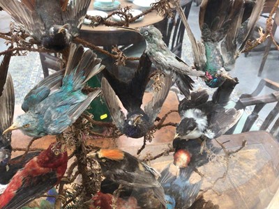 Lot 915 - Victorian display of hummingbirds and other birds of paradise within naturalistic setting under glass dome