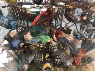 Lot 915 - Victorian display of hummingbirds and other birds of paradise within naturalistic setting under glass dome