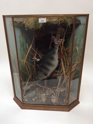 Lot 919 - Faux taxidermy Perch with young swimming in naturalistic setting within glazed corner case