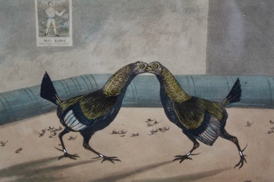 Lot 1008 - Group of seven 19th century Cock Fighting engravings including Henry Alken and Newton Fielding, each in glazed frame