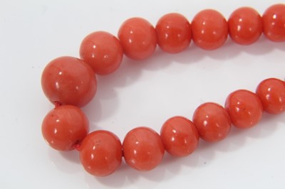 Lot 478 - Antique coral bead necklace with a string of graduated coral beads measuring approximately 8.2mm to 4.1mm, on a barrel clasp. Length approximately 46cm.