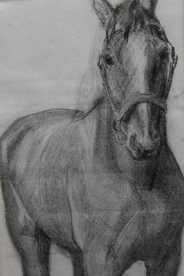 Lot 1139 - Robert G. D. Alexander (1875-1945) pencil drawing - A Horse, in glazed gilt frame, 49cm x 19cm