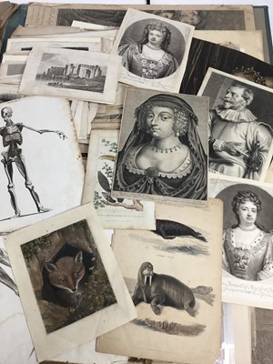 Lot 1825 - Large collection of 18th and 19th century engravings, mezzotints, prints and other works to include portraits of notables, Hogarth, Morland and many others, contained in a folio