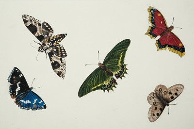 Lot 1831 - Good quality Victorian watercolour depicting butterflies and moths, together with eight other unframed botanical watercolours (9)