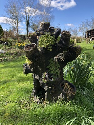 Lot 1864 - 19th century Scottish ceramic planter in the form of a gnarled tree truck, 90cm high