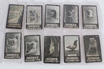 Lot 173 - Cigarette cards - Small group of 71 Ogdens Guinea Gold, Tabs and Ogdens Ltd photographic cards.