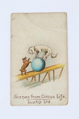 Lot 191 - Cigarette cards - Lusby Ltd 1902. Scenes from Circus Life, 3 type cards in poor condition