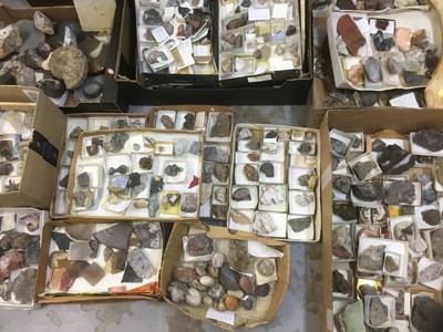 Lot 1846 - Fine and extensive collection of fossils and mineral specimens