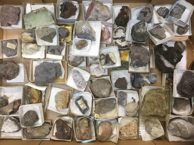 Lot 1846 - Fine and extensive collection of fossils and mineral specimens
