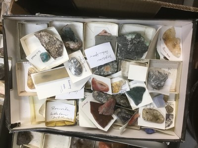 Lot 1846 - Fine and extensive collection of fossils and mineral specimens