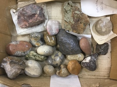 Lot 1846 - Fine and extensive collection of fossils and mineral specimens