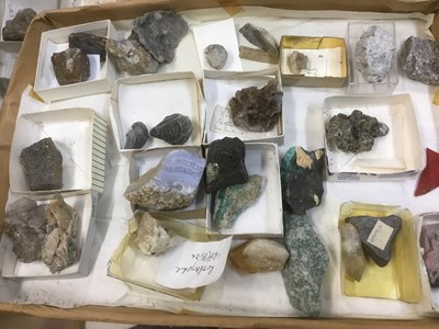 Lot 1846 - Fine and extensive collection of fossils and mineral specimens