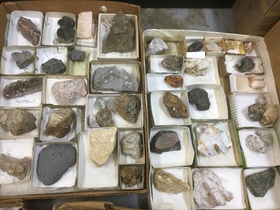 Lot 1846 - Fine and extensive collection of fossils and mineral specimens
