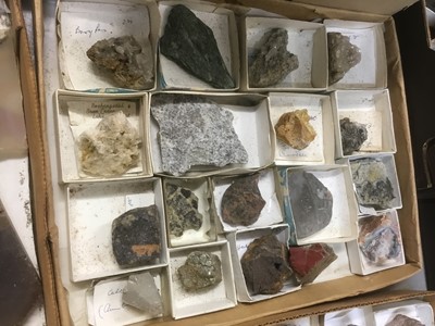 Lot 1846 - Fine and extensive collection of fossils and mineral specimens