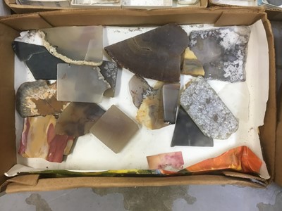 Lot 1846 - Fine and extensive collection of fossils and mineral specimens