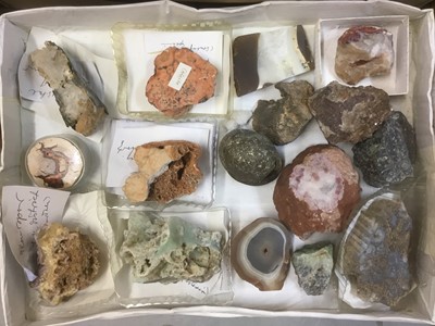 Lot 1846 - Fine and extensive collection of fossils and mineral specimens