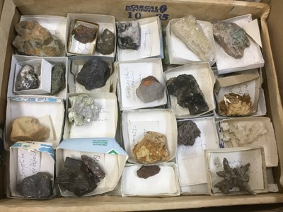 Lot 1846 - Fine and extensive collection of fossils and mineral specimens