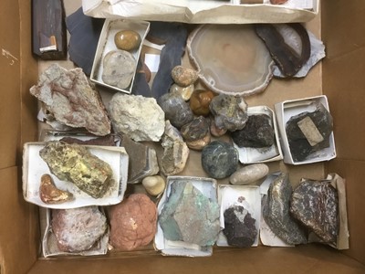 Lot 1846 - Fine and extensive collection of fossils and mineral specimens