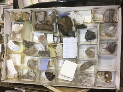 Lot 1846 - Fine and extensive collection of fossils and mineral specimens