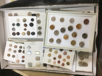 Lot 1846 - Fine and extensive collection of fossils and mineral specimens