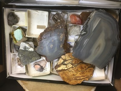 Lot 1846 - Fine and extensive collection of fossils and mineral specimens