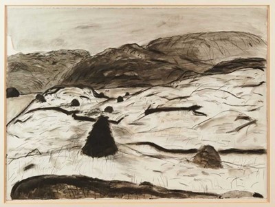 Lot 1328 - *Elizabeth Blackadder charcoal, pen and ink and monochrome washes, Peat Stacks at Loch Collam, Isle of Harris, signed and dated 1973, 58 x 79cm,  
Exhibited: Royal Academy 1975, no 1149