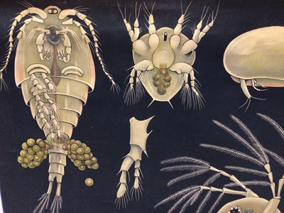 Lot 2208 - Vintage Microbiologists poster