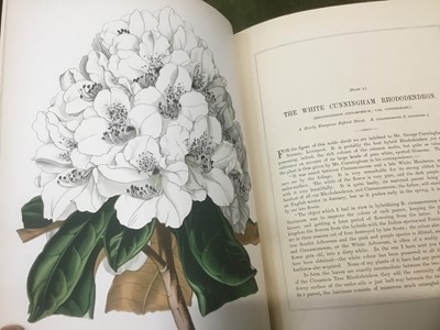 Lot 1504 - Sir Joseph Paxton - Flower Garden, Vol 1,Cassell, Petter, Galpin & Co. 1882, extensively illustrated with colour lithographs