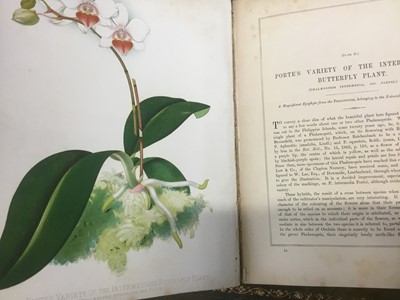 Lot 1504 - Sir Joseph Paxton - Flower Garden, Vol 1,Cassell, Petter, Galpin & Co. 1882, extensively illustrated with colour lithographs