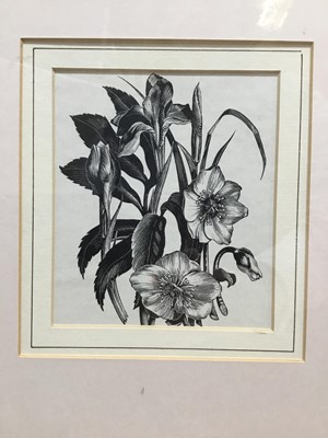 Lot 243 - Three Clare Leighton framed wood engravings from Four Hedges