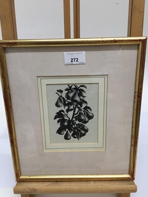 Lot 59 - Three Clare Leighton framed wood engravings from Four Hedges