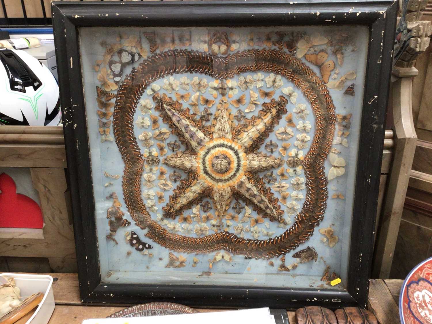 Lot 32 - Fine late Victorian display of butterflies and moths, the cantered star motif surrounded by further design, in glazed case, 73cm square 
Provenance: The Robert Barley Collection