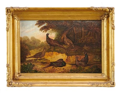 Lot 1053 - 19th century English School, oil on panel, pheasants in woodland, in gilt frame