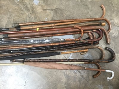 Lot 131 - Collection of walking sticks and umbrellas