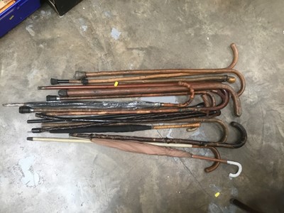 Lot 131 - Collection of walking sticks and umbrellas