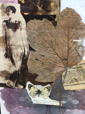 Lot 244 - Carol Burns (b 1934), collage of leaf and paper, 'Lunar Orbiter' c. 1964