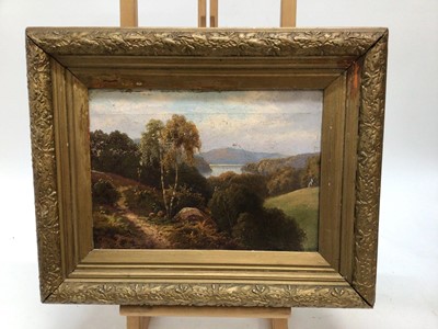 Lot 82 - Robert Fenson (act. 1880-1920), oil on canvas, A lakeland scene with a path thorugh woodland, signed, in gilt frame, 25 x 35cm