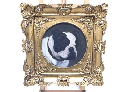 Lot 91 - Arthur Heyer (1872-1931), oil on tondo board, "Sebastian", a bull dog, signed, also inscrobed verso, in ornate gilt frame, diameter 24cm