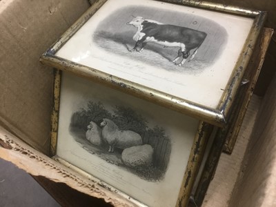 Lot 268 - Good decorative set of ten 19th century engravings of cattle, 15 x 20cm, in glazed silvered frames