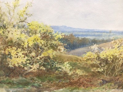 Lot 175 - Albert Kinsley (1852-1945) watercolour - extensive landscape, signed, 25cm x 36cm, in glazed gilt frame