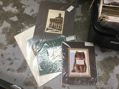 Lot 285 - One box of mounted Victorian engraving and prints