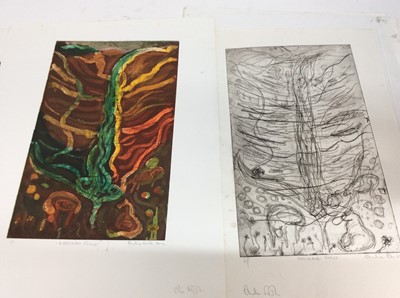 Lot 250 - Annelise Firth (b.1961) folio of monoprints and etchings- Hardraw Force, signed and dated 2012