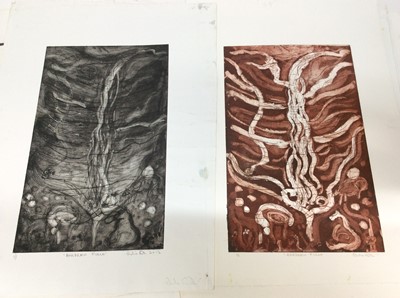 Lot 250 - Annelise Firth (b.1961) folio of monoprints and etchings- Hardraw Force, signed and dated 2012