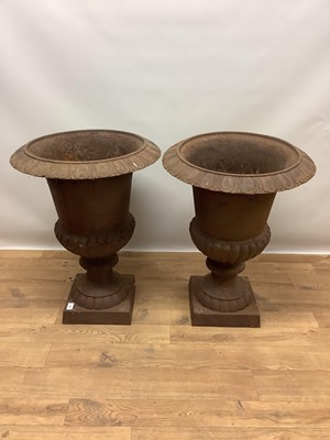 Lot 1327 - Pair of antique campana form cast iron garden urns