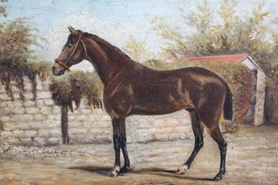 Lot 1095 - An oil painting on canvas of a horse in a maple frame